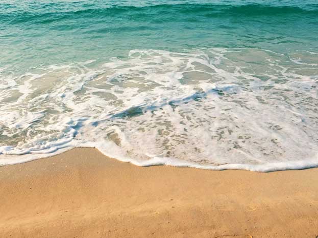 Environmental Sustainability in Language Teaching - August 2025